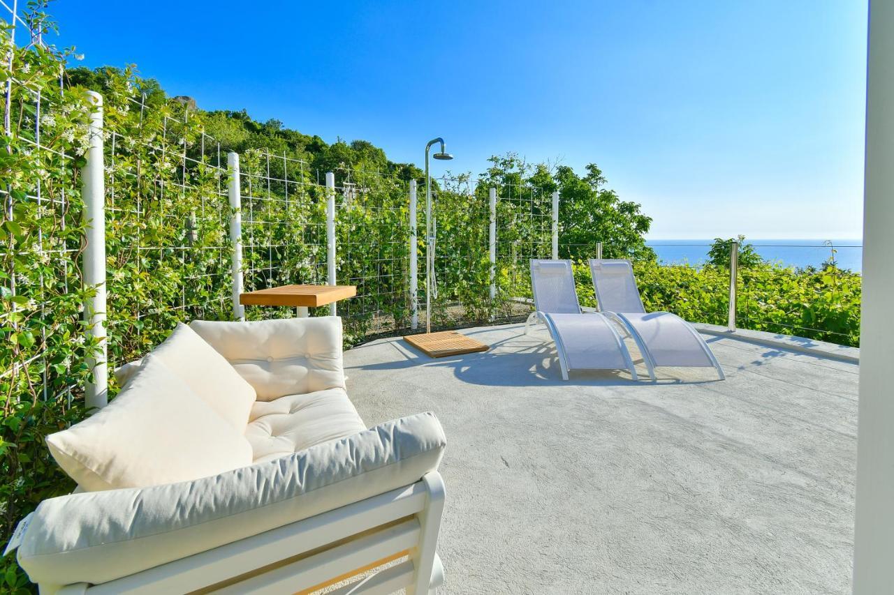 Tenuta C'Est La Vie Forio di Ischia 외부 사진