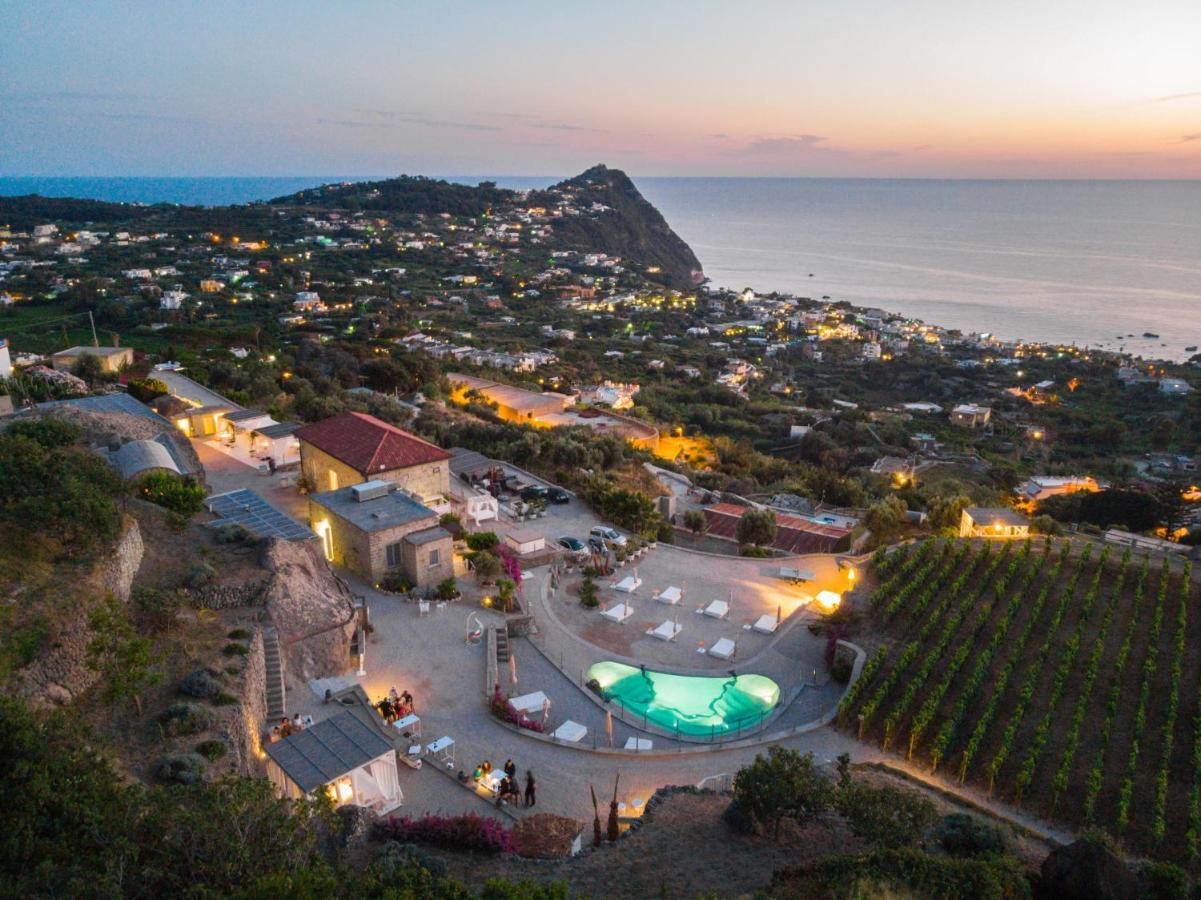 Tenuta C'Est La Vie Forio di Ischia 외부 사진