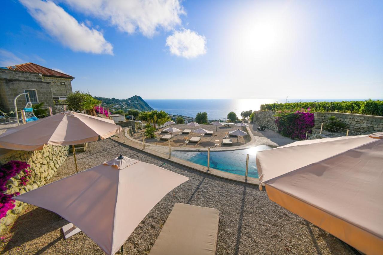 Tenuta C'Est La Vie Forio di Ischia 외부 사진