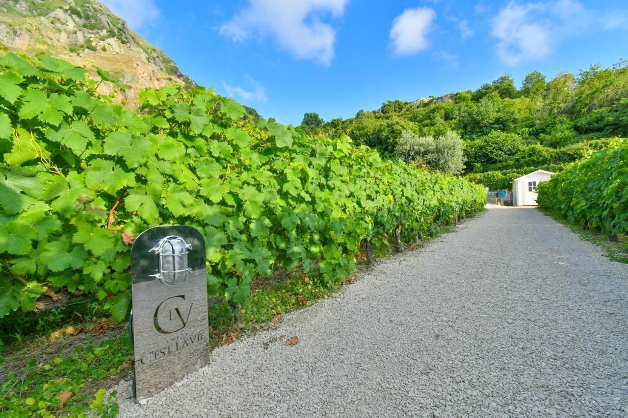 Tenuta C'Est La Vie Forio di Ischia 외부 사진