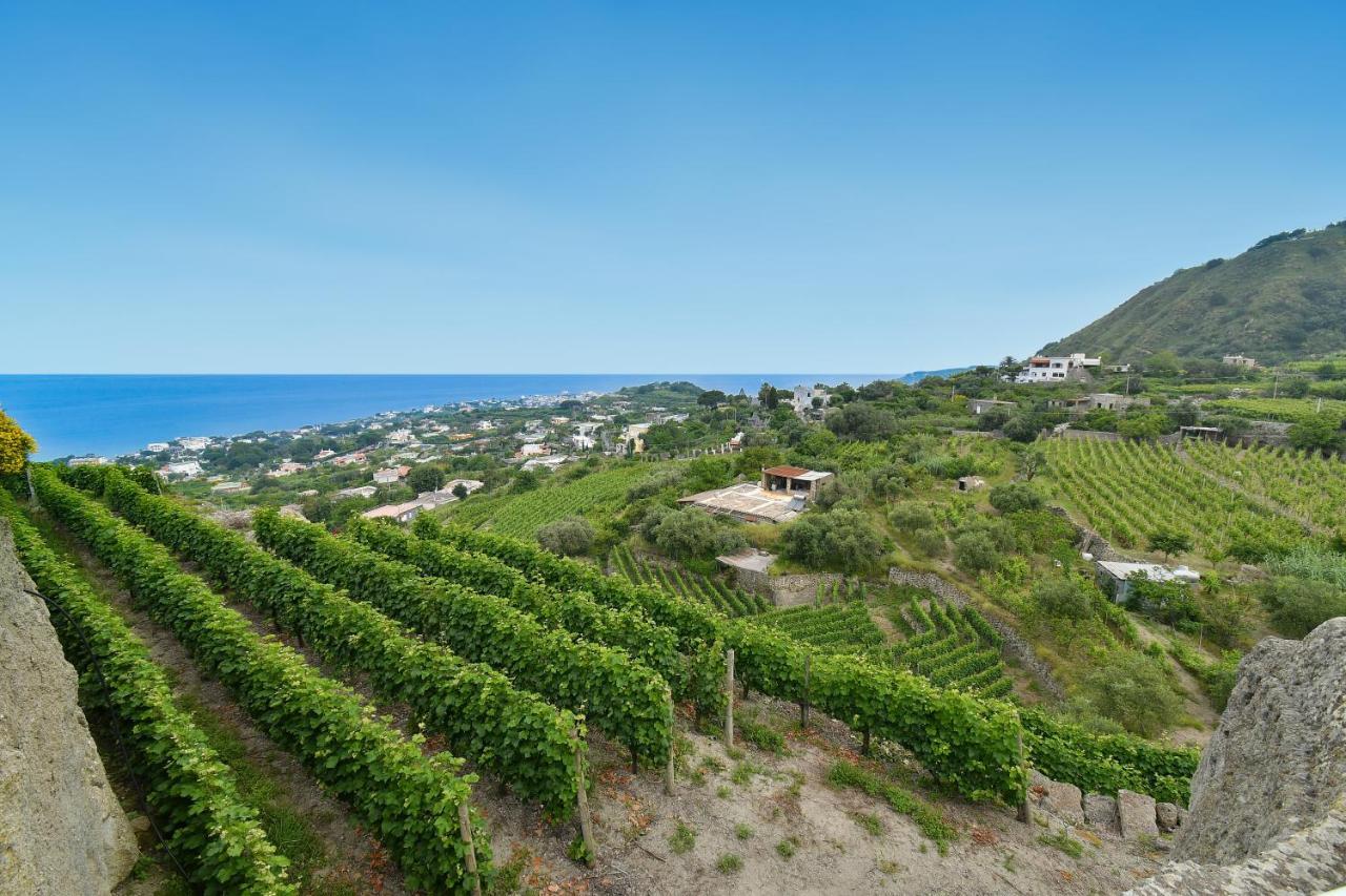 Tenuta C'Est La Vie Forio di Ischia 외부 사진