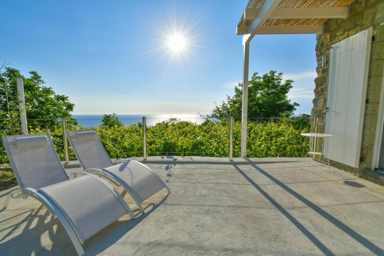 Tenuta C'Est La Vie Forio di Ischia 외부 사진